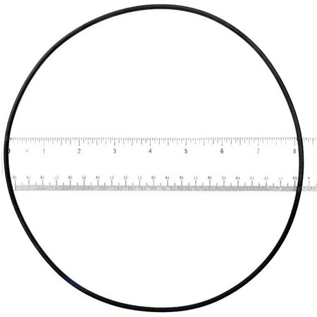Ala-Pt Starite Lid O-Ring APCO2025
